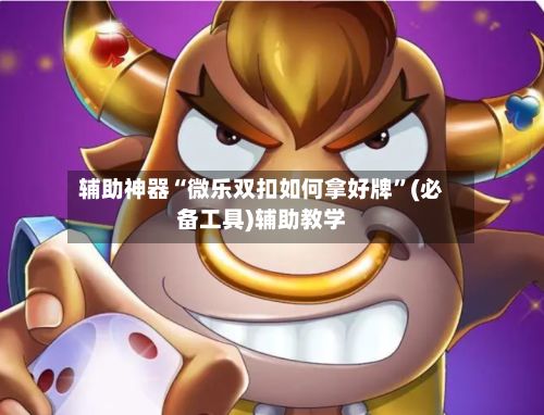 辅助神器“微乐双扣如何拿好牌”(必备工具)辅助教学