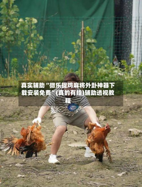 真实辅助“微乐捉鸡麻将外卦神器下载安装免费”(真的有挂)辅助透视教程-第2张图片