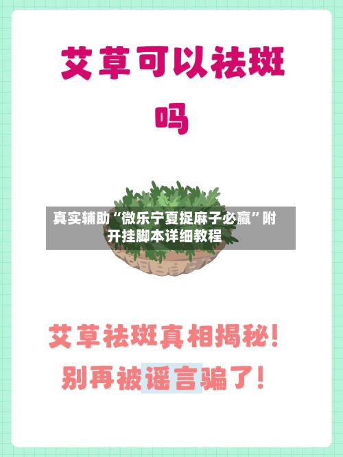 真实辅助“微乐宁夏捉麻子必赢”附开挂脚本详细教程