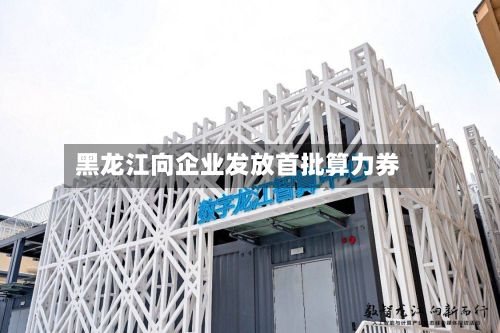 黑龙江向企业发放首批算力券