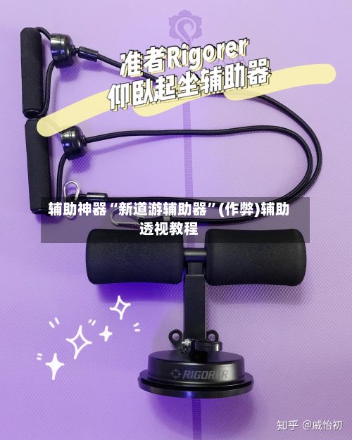 辅助神器“新道游辅助器”(作弊)辅助透视教程