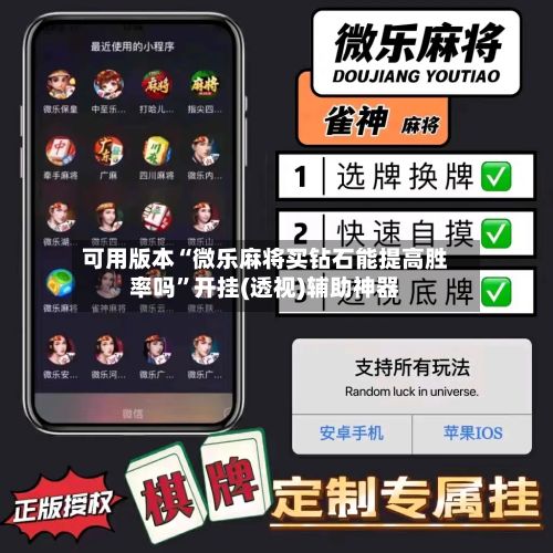 可用版本“微乐麻将买钻石能提高胜率吗”开挂(透视)辅助神器-第3张图片