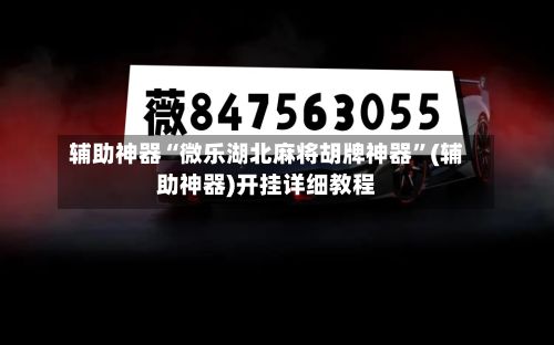 辅助神器“微乐湖北麻将胡牌神器	”(辅助神器)开挂详细教程-第2张图片