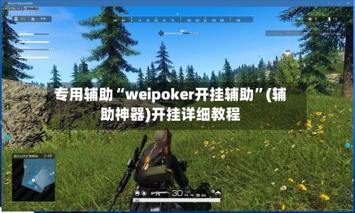 专用辅助“weipoker开挂辅助”(辅助神器)开挂详细教程