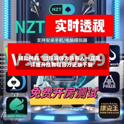 辅助神器“微乐麻将为啥有人一直赢”详细开挂教程官方正版下载-第3张图片