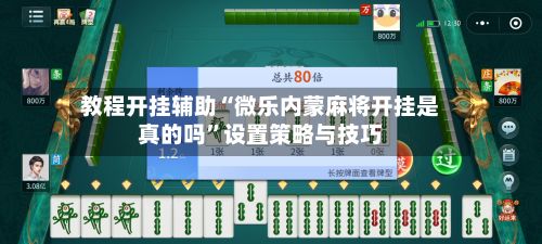 教程开挂辅助“微乐内蒙麻将开挂是真的吗”设置策略与技巧-第3张图片