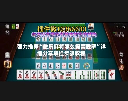 强力推荐“微乐麻将怎么提高胜率”详细分享装挂步骤教程-第3张图片