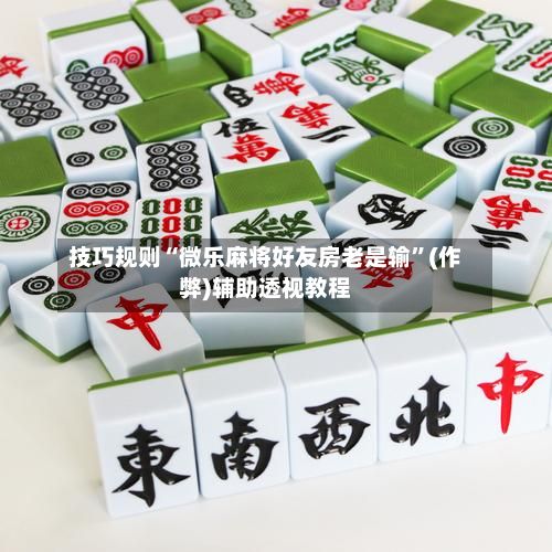 技巧规则“微乐麻将好友房老是输”(作弊)辅助透视教程
