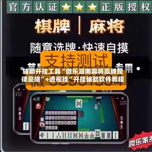 辅助开挂工具“微乐湖南麻将赢牌规律是啥”+透视挂”开挂辅助软件教程