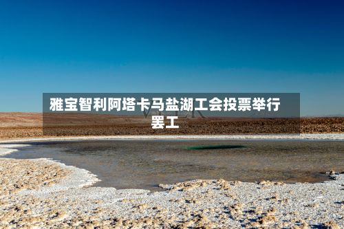 雅宝智利阿塔卡马盐湖工会投票举行罢工-第2张图片
