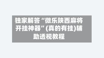 独家解答“微乐陕西麻将开挂神器”(真的有挂)辅助透视教程-第3张图片