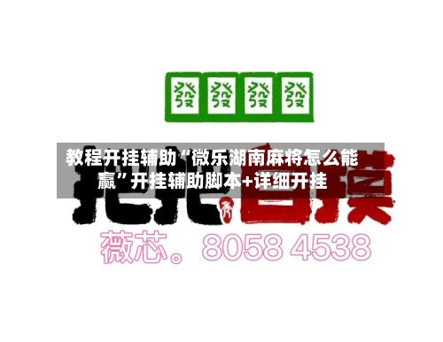 教程开挂辅助“微乐湖南麻将怎么能赢”开挂辅助脚本+详细开挂-第3张图片