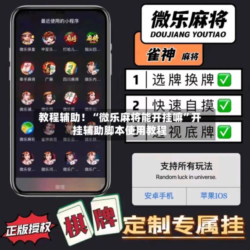 教程辅助！“微乐麻将能开挂嘛”开挂辅助脚本使用教程-第3张图片