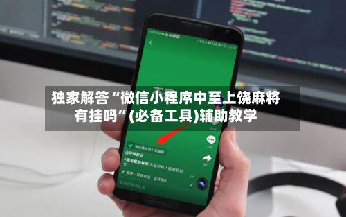 独家解答“微信小程序中至上饶麻将有挂吗”(必备工具)辅助教学-第2张图片