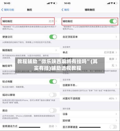 教程辅助“微乐陕西麻将有挂吗”(其实有挂)辅助透视教程-第2张图片