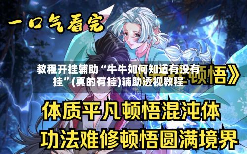 教程开挂辅助“牛牛如何知道有没有挂”(真的有挂)辅助透视教程-第3张图片