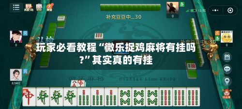 玩家必看教程“微乐捉鸡麻将有挂吗?”其实真的有挂-第3张图片