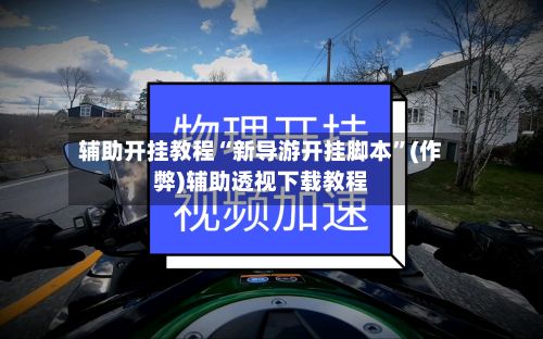 辅助开挂教程“新导游开挂脚本”(作弊)辅助透视下载教程-第2张图片