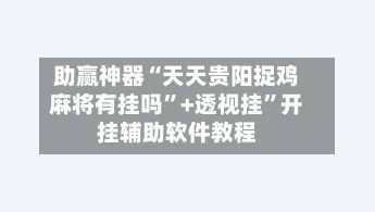 助赢神器“天天贵阳捉鸡麻将有挂吗”+透视挂”开挂辅助软件教程-第2张图片