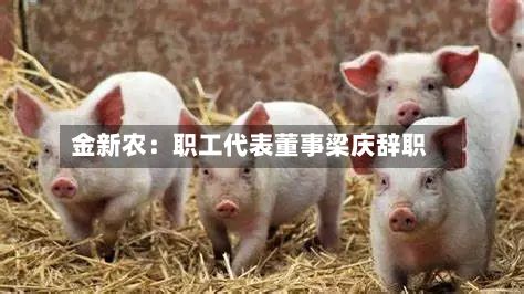 金新农:职工代表董事梁庆辞职-第2张图片