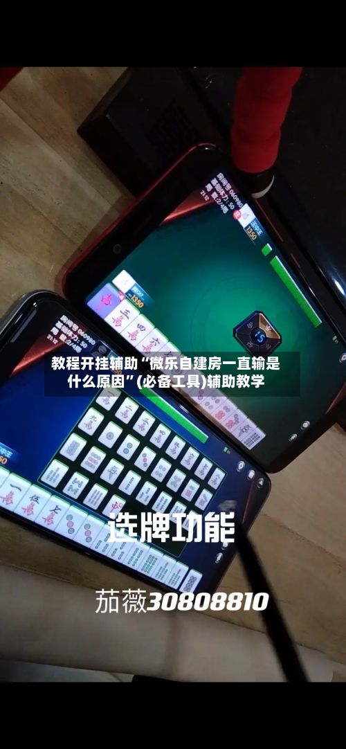 教程开挂辅助“微乐自建房一直输是什么原因”(必备工具)辅助教学-第2张图片