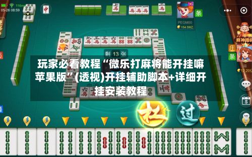 玩家必看教程“微乐打麻将能开挂嘛苹果版”(透视)开挂辅助脚本+详细开挂安装教程-第3张图片