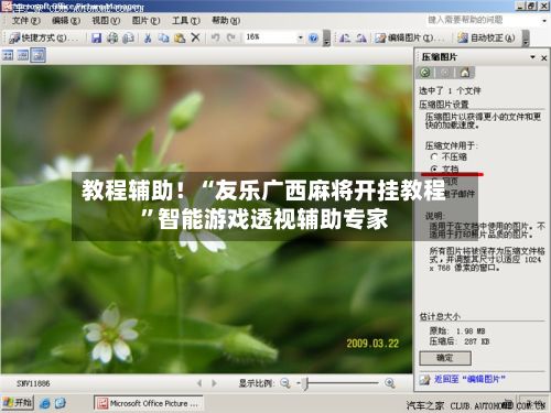 教程辅助！“友乐广西麻将开挂教程”智能游戏透视辅助专家-第2张图片