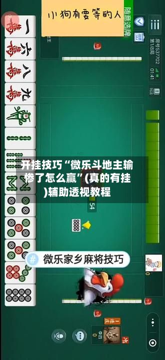 开挂技巧“微乐斗地主输惨了怎么赢”(真的有挂)辅助透视教程-第2张图片