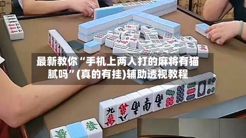 最新教你“手机上两人打的麻将有猫腻吗”(真的有挂)辅助透视教程-第2张图片