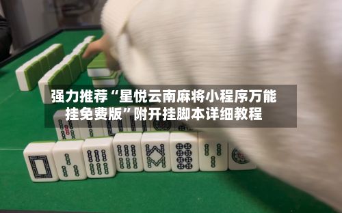强力推荐“星悦云南麻将小程序万能挂免费版”附开挂脚本详细教程-第3张图片