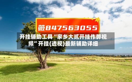 开挂辅助工具“家乡大贰开挂作弊视频”开挂(透视)最新辅助详细-第2张图片