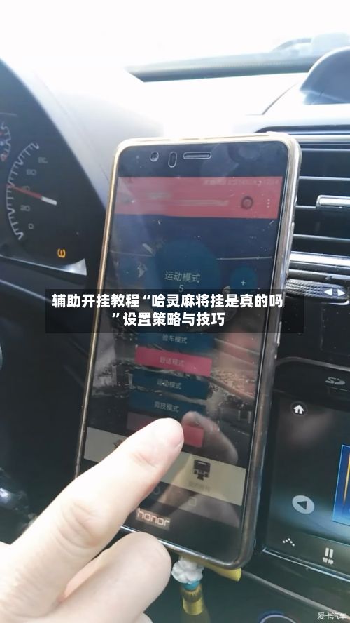 辅助开挂教程“哈灵麻将挂是真的吗”设置策略与技巧-第3张图片