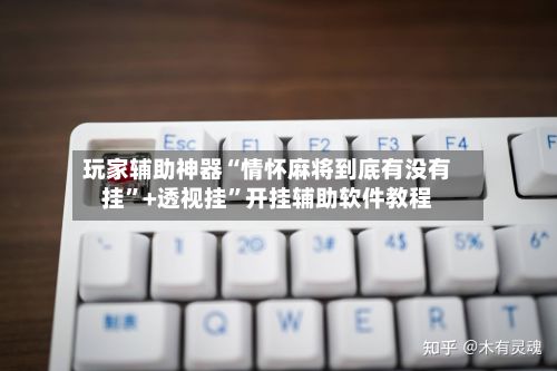 玩家辅助神器“情怀麻将到底有没有挂”+透视挂	”开挂辅助软件教程-第2张图片