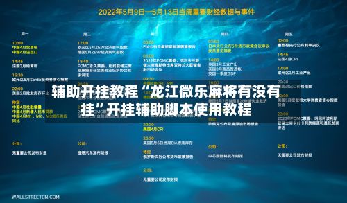 辅助开挂教程“龙江微乐麻将有没有挂”开挂辅助脚本使用教程-第3张图片