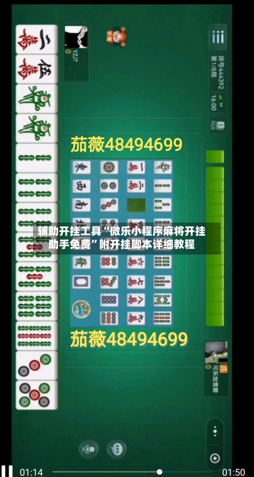辅助开挂工具“微乐小程序麻将开挂助手免费”附开挂脚本详细教程-第2张图片