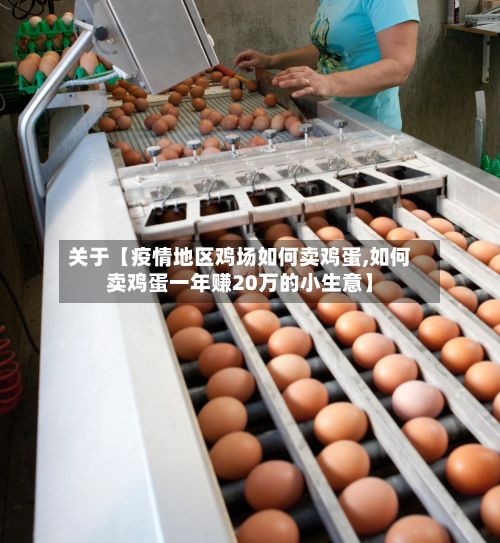 关于【疫情地区鸡场如何卖鸡蛋,如何卖鸡蛋一年赚20万的小生意】-第3张图片