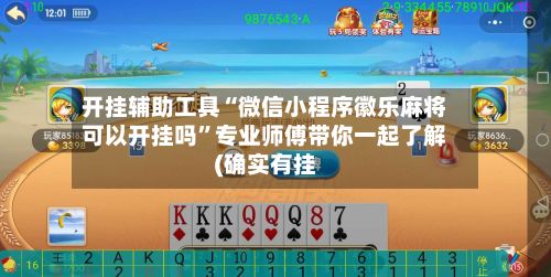 开挂辅助工具“微信小程序徽乐麻将可以开挂吗	”专业师傅带你一起了解(确实有挂-第2张图片