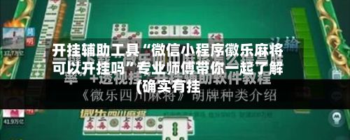 开挂辅助工具“微信小程序徽乐麻将可以开挂吗”专业师傅带你一起了解(确实有挂-第3张图片