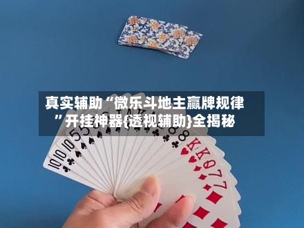 真实辅助“微乐斗地主赢牌规律	”开挂神器{透视辅助}全揭秘-第2张图片