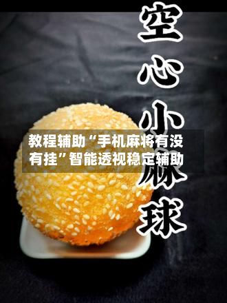 教程辅助“手机麻将有没有挂	”智能透视稳定辅助-第2张图片