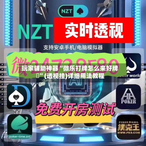 玩家辅助神器“微乐打牌怎么来好牌		”(透视挂)详细用法教程-第3张图片