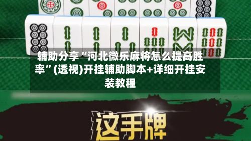 辅助分享“河北微乐麻将怎么提高胜率”(透视)开挂辅助脚本+详细开挂安装教程-第2张图片