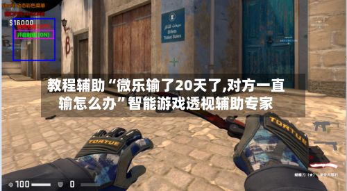教程辅助“微乐输了20天了,对方一直输怎么办”智能游戏透视辅助专家-第3张图片