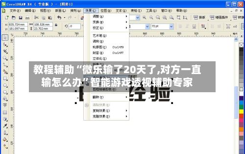 教程辅助“微乐输了20天了,对方一直输怎么办”智能游戏透视辅助专家-第2张图片