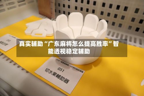 真实辅助“广东麻将怎么提高胜率”智能透视稳定辅助-第2张图片