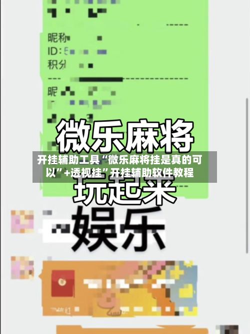 开挂辅助工具“微乐麻将挂是真的可以”+透视挂	”开挂辅助软件教程-第3张图片