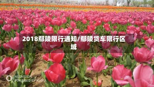 2018鄢陵限行通知/鄢陵货车限行区域-第3张图片