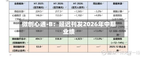 微创心通-B:延迟刊发2026年中期业绩-第2张图片