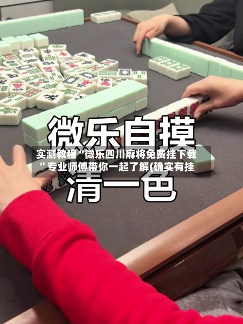 实测教程“微乐四川麻将免费挂下载	”专业师傅带你一起了解(确实有挂-第2张图片