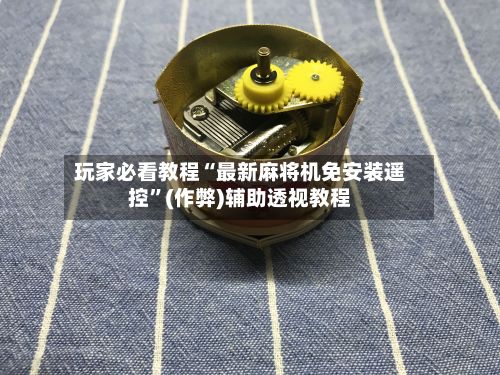 玩家必看教程“最新麻将机免安装遥控”(作弊)辅助透视教程-第2张图片